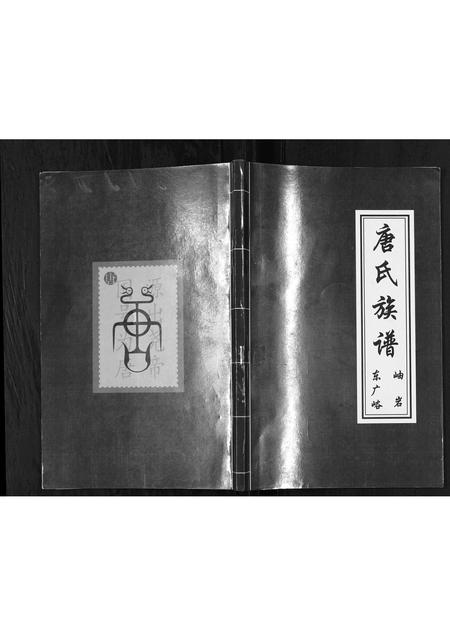 辽宁唐氏-唐氏族谱[不分卷].pdf电子版缩略图