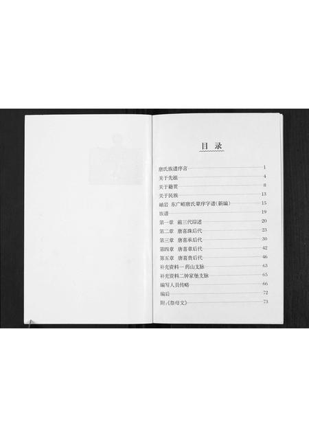 辽宁唐氏-唐氏族谱[不分卷].pdf电子版预览图1