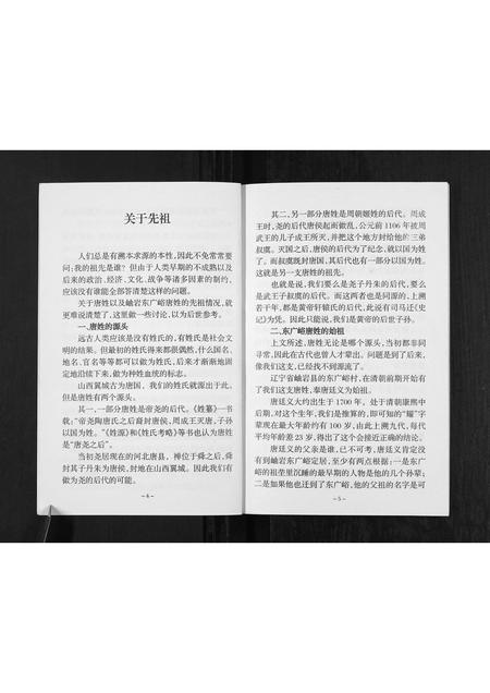 辽宁唐氏-唐氏族谱[不分卷].pdf电子版预览图4