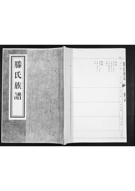 山东滕氏-滕氏族谱.pdf电子版缩略图