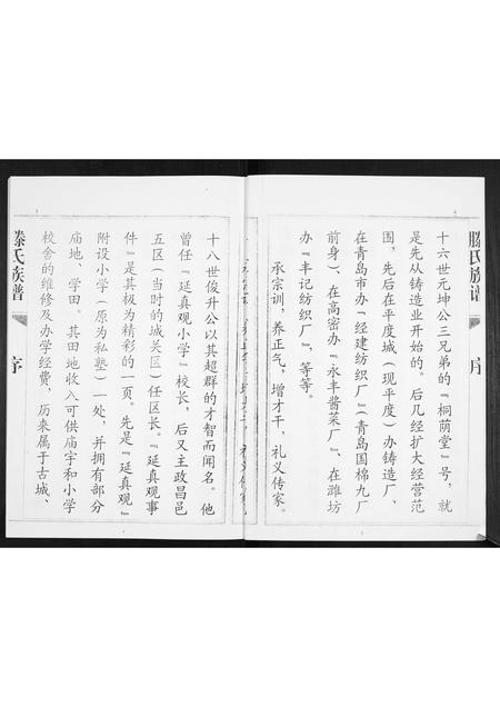 山东滕氏-滕氏族谱.pdf电子版预览图4
