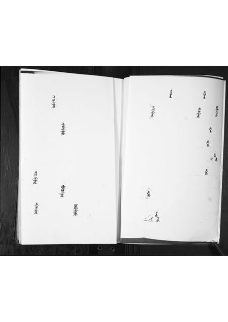 山东滕氏-滕氏族谱(东支).pdf电子版预览图3