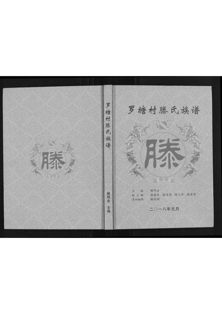 广西滕氏-罗塘村滕氏族谱.pdf电子版缩略图