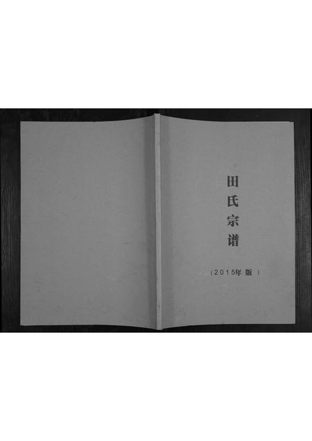四川田氏-田氏宗谱.pdf电子版缩略图