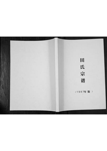 四川田氏-田氏家谱.pdf电子版缩略图