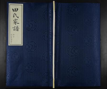 山东田氏-田氏家谱 [不分卷].pdf电子版缩略图