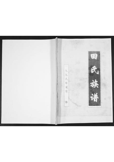 山东田氏-田氏族谱.pdf电子版缩略图