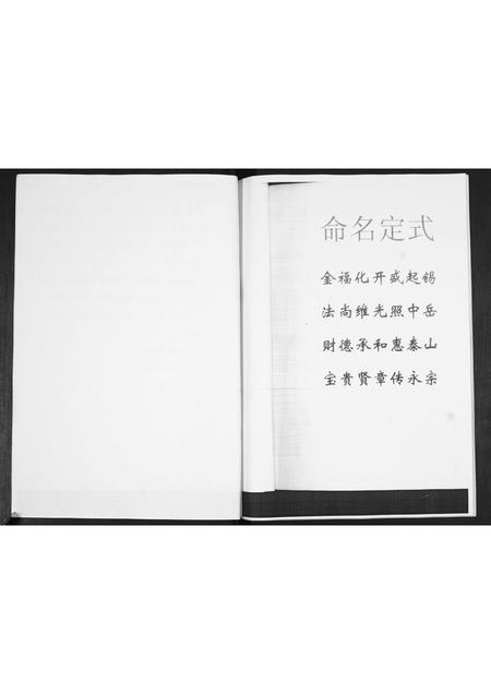 山东田氏-田氏族谱.pdf电子版预览图4