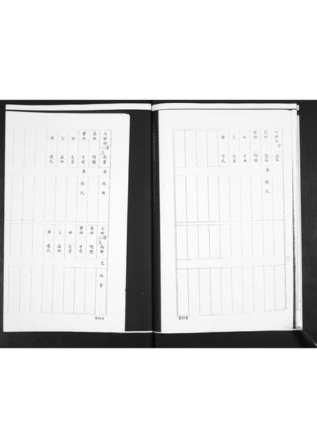 山东田氏-田氏族谱.pdf电子版预览图5