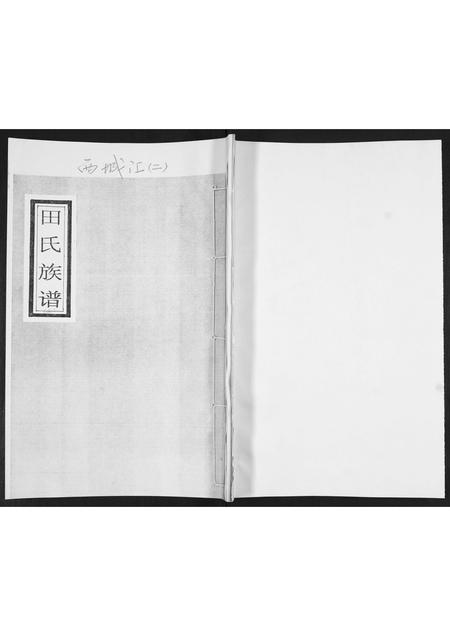 山东田氏-田氏族谱.pdf电子版缩略图