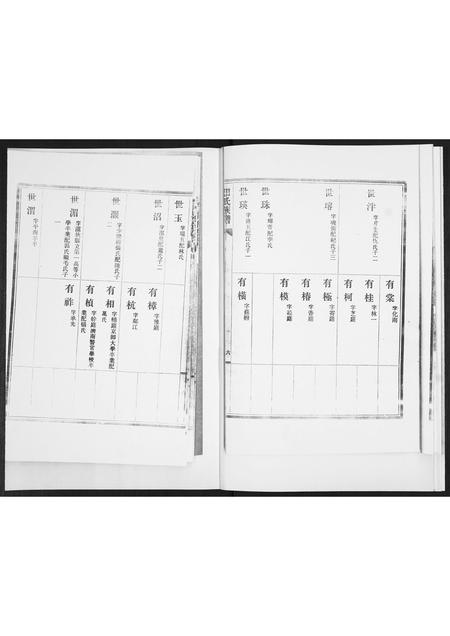 山东田氏-田氏族谱.pdf电子版预览图5