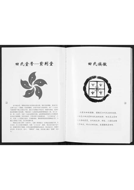 山西田氏-大会头村田氏家谱.pdf电子版预览图1