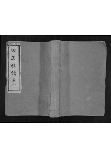 山东田氏王氏-田王族谱[5卷].pdf电子版缩略图