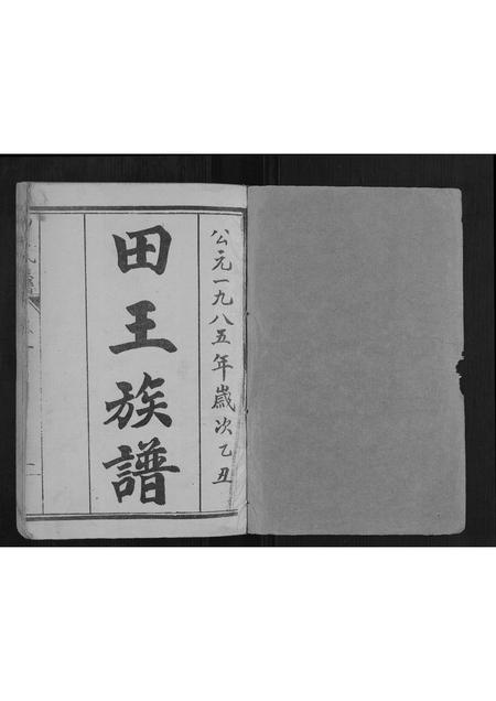 山东田氏王氏-田王族谱[5卷].pdf电子版预览图1