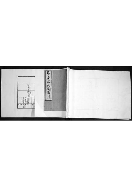 山东万氏-即墨万氏族谱[2卷].pdf电子版缩略图