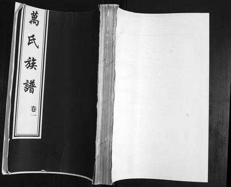 山东万氏-万氏族谱.pdf电子版缩略图