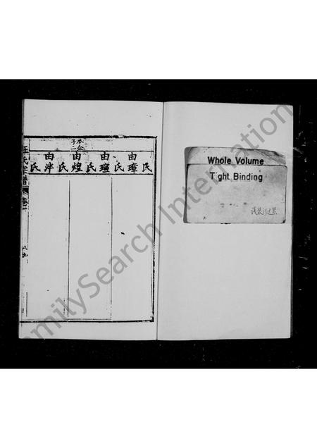 四川汪氏-汪氏宗谱 [残卷].pdf电子版预览图2