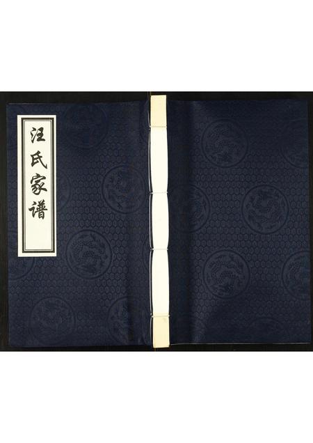 河北汪氏-汪氏家谱.pdf电子版缩略图