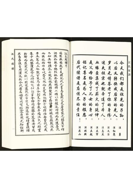 河北汪氏-汪氏家谱.pdf电子版预览图4