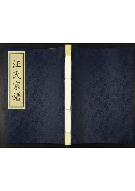 陜西汪氏-汪氏家谱.pdf电子版缩略图