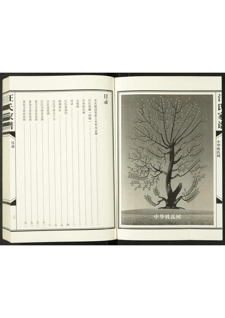 陜西汪氏-汪氏家谱.pdf电子版预览图3