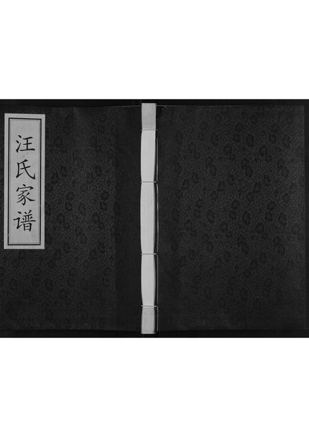 陜西汪氏-汪氏家谱[不分卷].pdf电子版缩略图