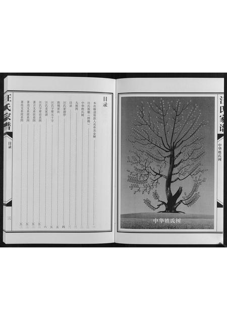 陜西汪氏-汪氏家谱[不分卷].pdf电子版预览图3