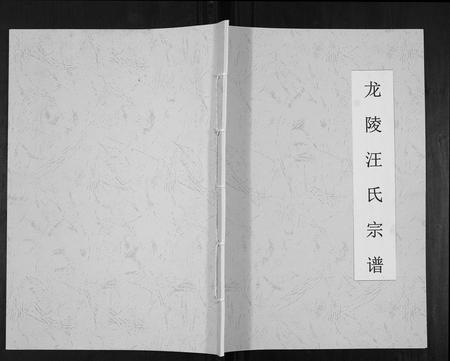云南汪氏-龙陵汪氏宗谱[不分卷].pdf电子版缩略图