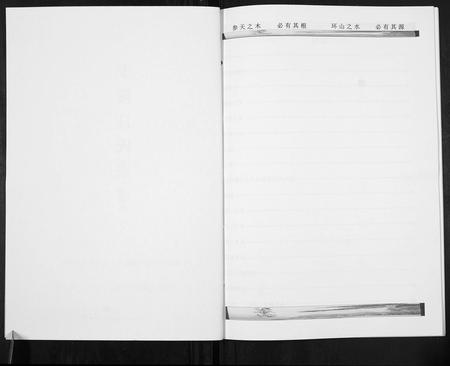 云南汪氏-龙陵汪氏宗谱[不分卷].pdf电子版预览图2