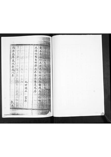 吉林王氏-王氏宗谱.pdf电子版预览图2