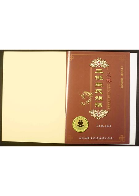 四川王氏-三槐王氏族谱.pdf电子版缩略图