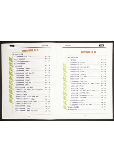 四川王氏-三槐王氏族谱.pdf电子版预览图2