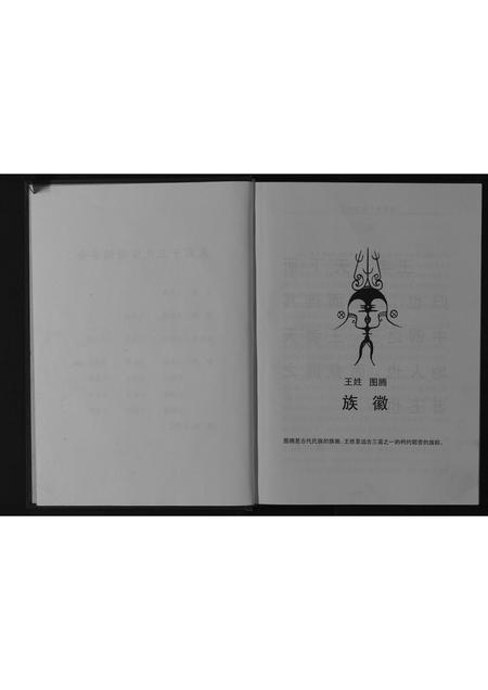 四川王氏-木寨子王氏宗谱[不分卷].pdf电子版预览图3