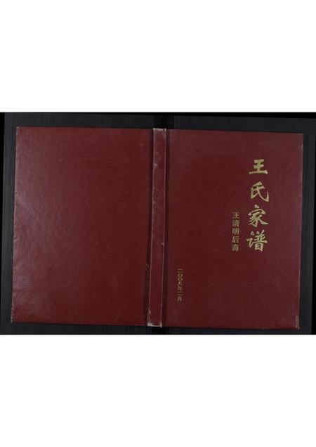 四川王氏-王氏家谱[不分卷].pdf电子版缩略图
