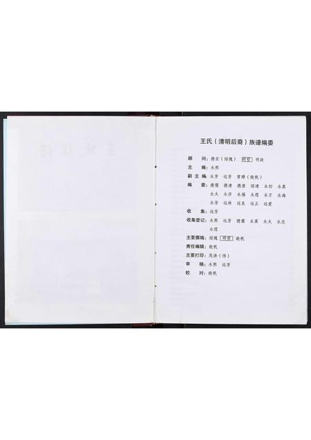 四川王氏-王氏家谱[不分卷].pdf电子版预览图3