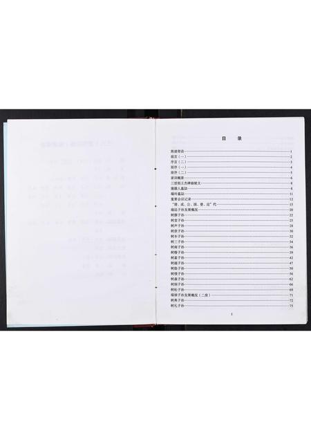 四川王氏-王氏家谱[不分卷].pdf电子版预览图4