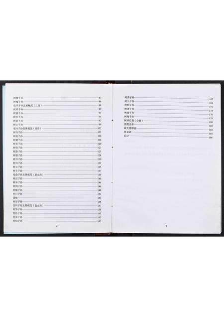 四川王氏-王氏家谱[不分卷].pdf电子版预览图5