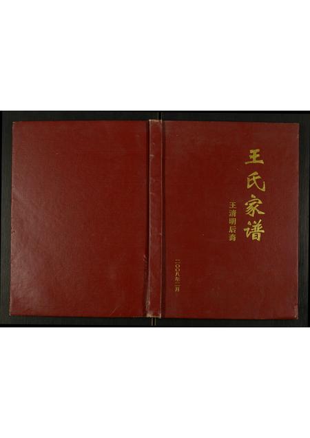 四川王氏-王氏家谱王清明后裔.pdf电子版缩略图