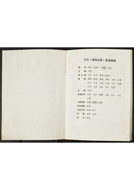 四川王氏-王氏家谱王清明后裔.pdf电子版预览图3