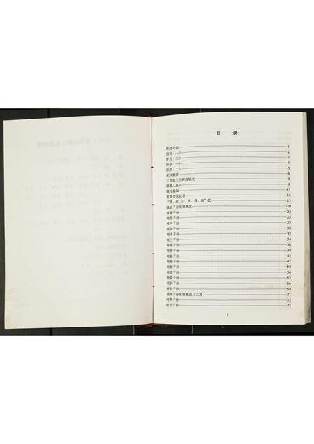 四川王氏-王氏家谱王清明后裔.pdf电子版预览图4