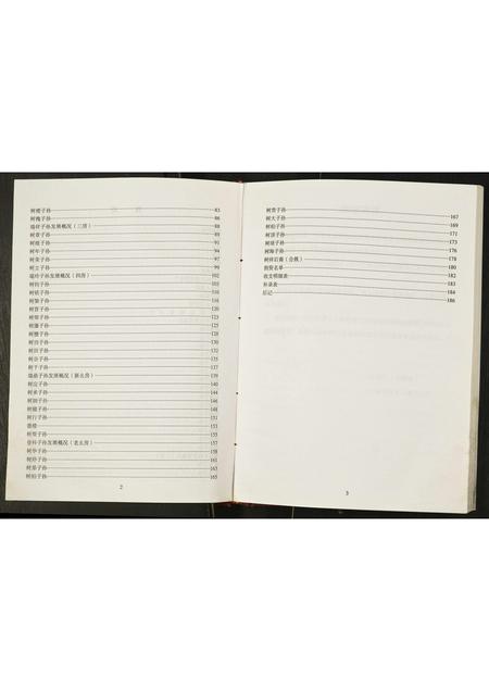 四川王氏-王氏家谱王清明后裔.pdf电子版预览图5