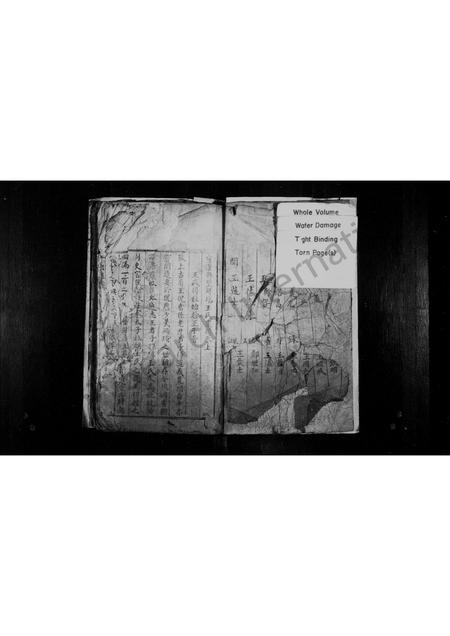 四川王氏-王氏族谱(别名：宣汉县双河场王氏宗谱).pdf电子版预览图1