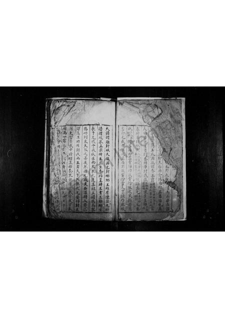 四川王氏-王氏族谱(别名：宣汉县双河场王氏宗谱).pdf电子版预览图3