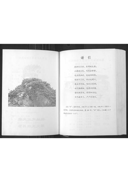 四川王氏-万州向水王家湾王氏家谱[1册](别名：Wan Zhou Xiang Shui Wang Jia Wan Wang Shi Jia Pu).pdf电子版预览图4