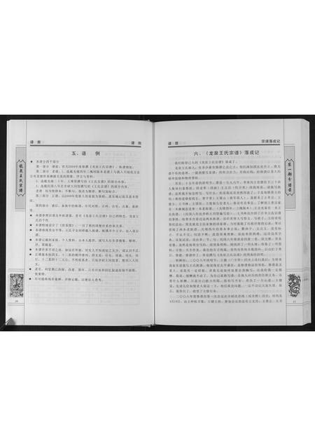 四川王氏-龙泉王氏宗谱[不分卷].pdf电子版预览图5