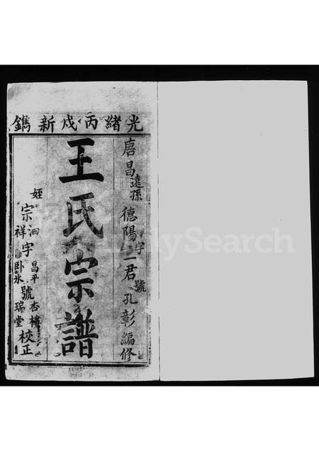 四川王氏-王氏宗谱 [4卷].pdf电子版预览图4