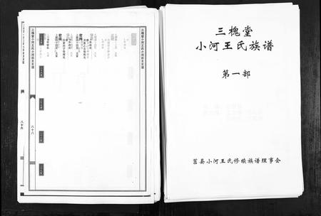 山东王氏-三槐堂小河王氏族谱[2部,7卷](别名：San Huai Tang Xiao He Wang Shi Zu Pu).pdf电子版缩略图