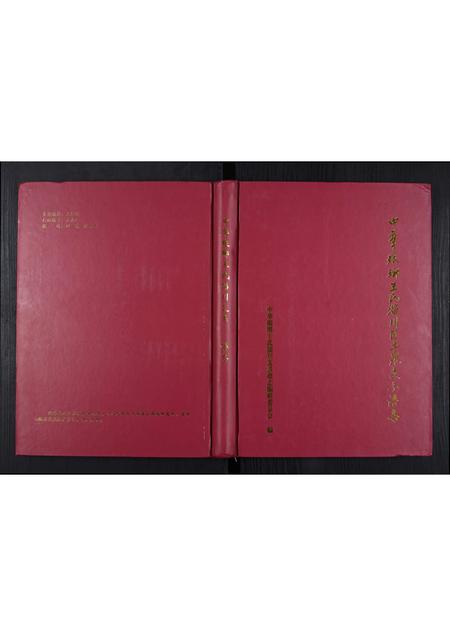 山东王氏-中华琅琊王氏淄川区土泉支系谱志.pdf电子版缩略图