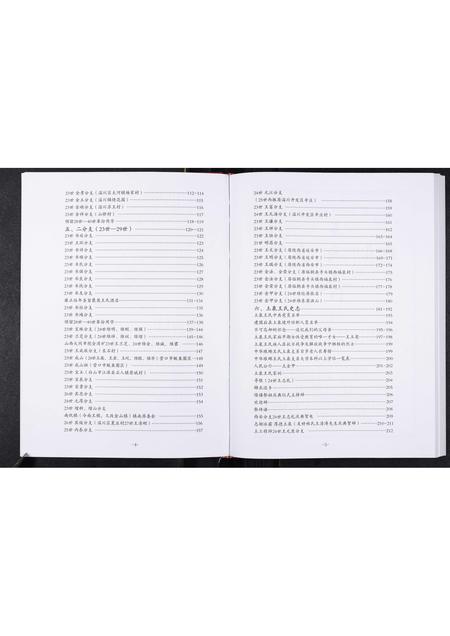 山东王氏-中华琅琊王氏淄川区土泉支系谱志.pdf电子版预览图3