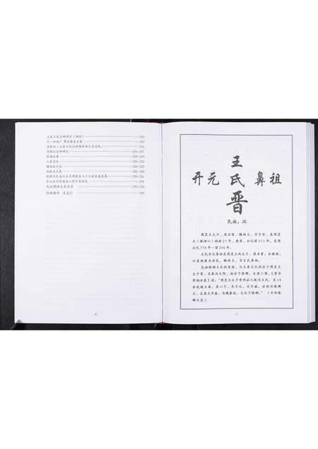 山东王氏-中华琅琊王氏淄川区土泉支系谱志.pdf电子版预览图4